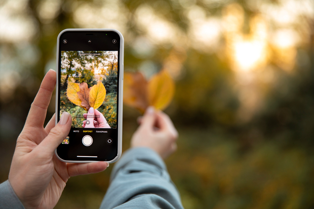 vsco lookup